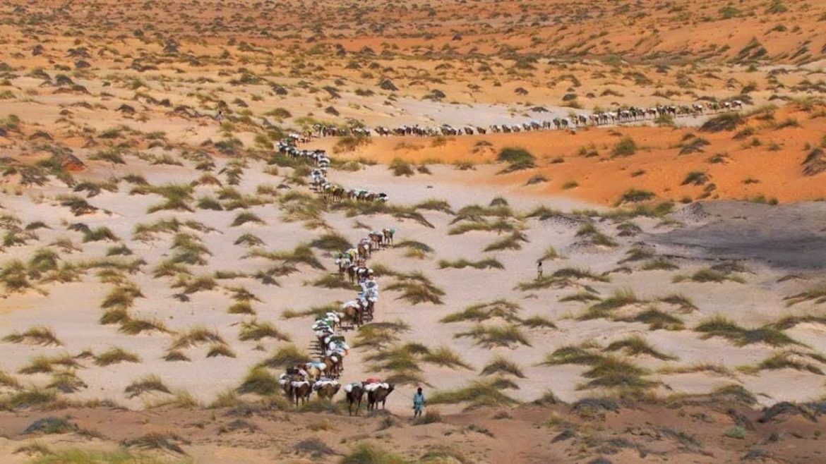 Documentales sobre el cambio climático