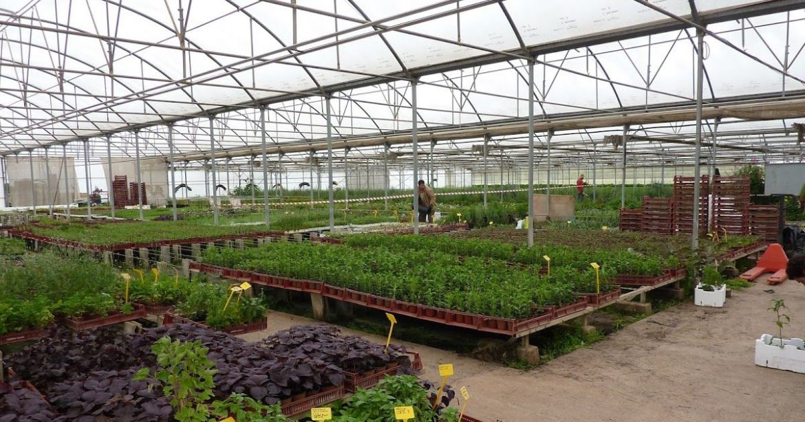 Mallas para hacer tu huerto mallas